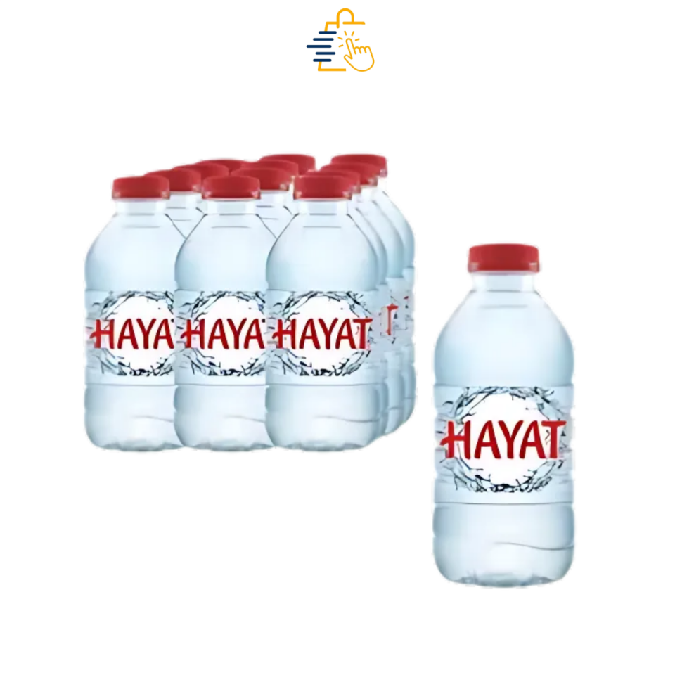 Hayat 0.33 ml Doğal Mineralli Su 6X12