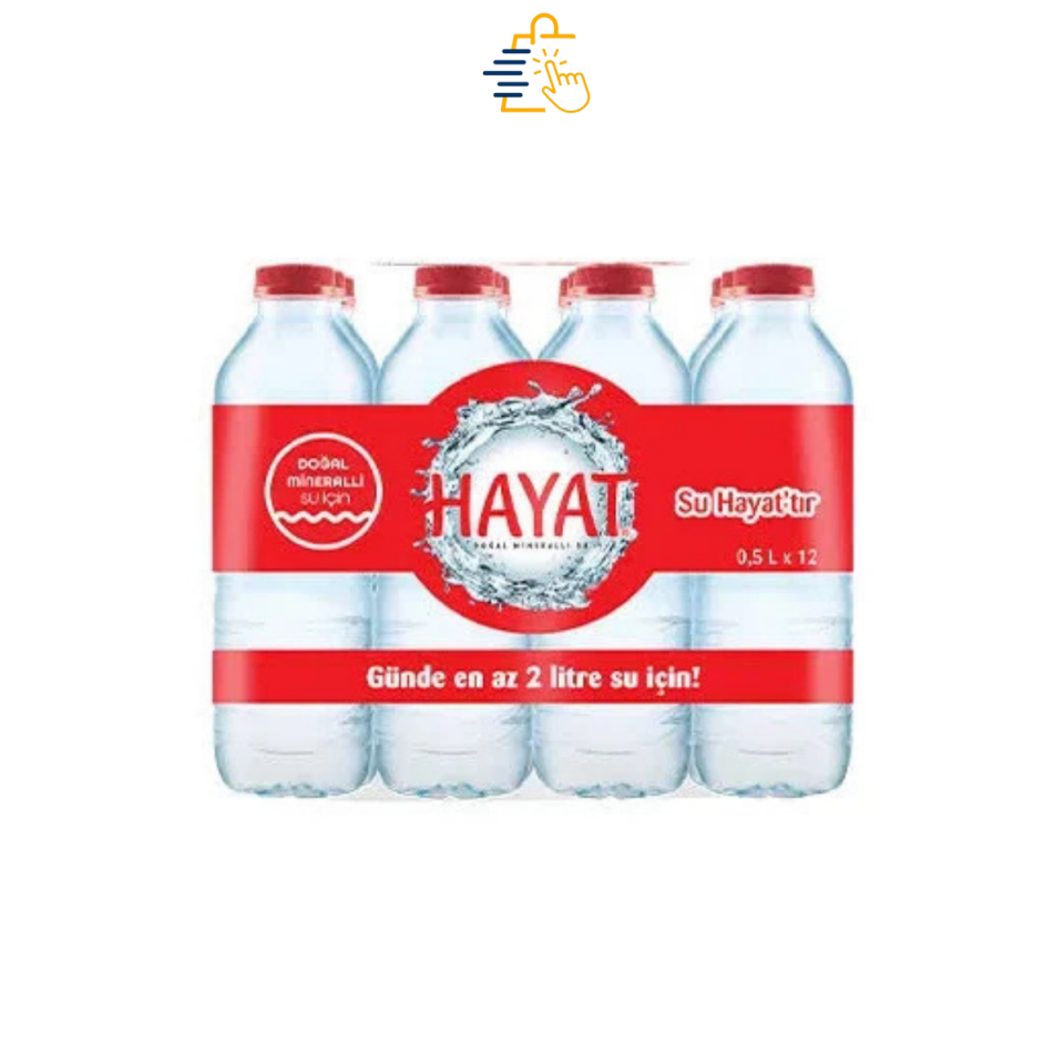 Hayat Su 0.5Lt x 12 Pet Su